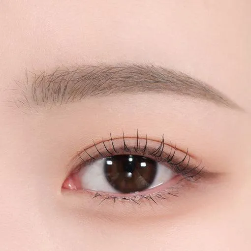 Espoir The Brow Color Fixing Color 3g