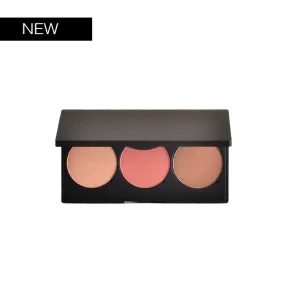 Pro Brow Palette PBP01